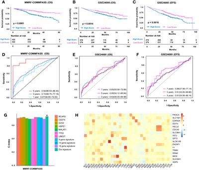 Systematic discrimination of the repetitive genome in proximity of ferroptosis genes and a novel prognostic signature correlating with the oncogenic lncRNA CRNDE in multiple myeloma